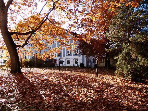 Pension U Kapličky Cesky Krumlov Bagian luar foto